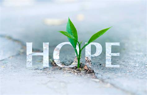 Press in to Hope